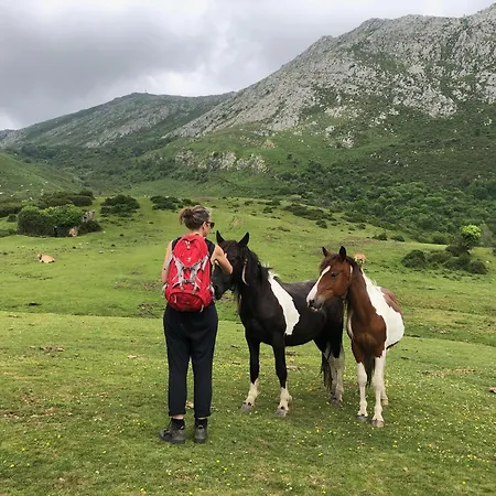 Prázdninový dům Casa Mariquina Peaceful Spacious In Llanes