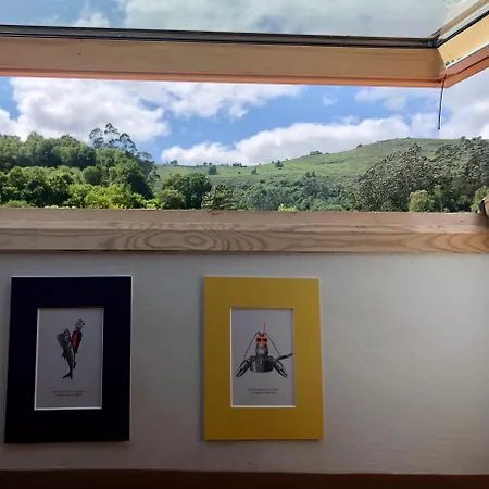 Casa Mariquina Peaceful Spacious In Llanes * Vibano