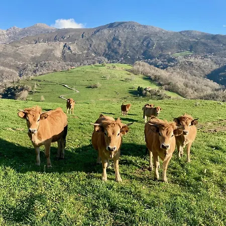 Casa Mariquina Peaceful Spacious In Llanes Vibano